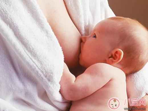 女性哺乳期吃什么奶水多 哺乳期哪些食物是不能吃的 女性哺乳期吃什么奶水多 哺乳期哪些食物是不能吃的