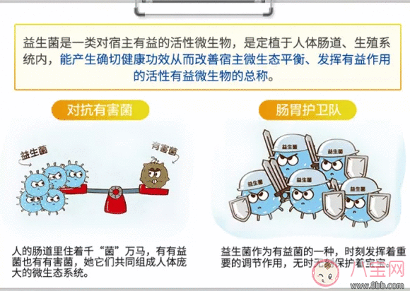 美国康萃乐益生菌怎么样 宝宝不到一岁能吃康萃乐吗 美国康萃乐益生菌怎么样 宝宝不到一岁能吃康萃乐吗